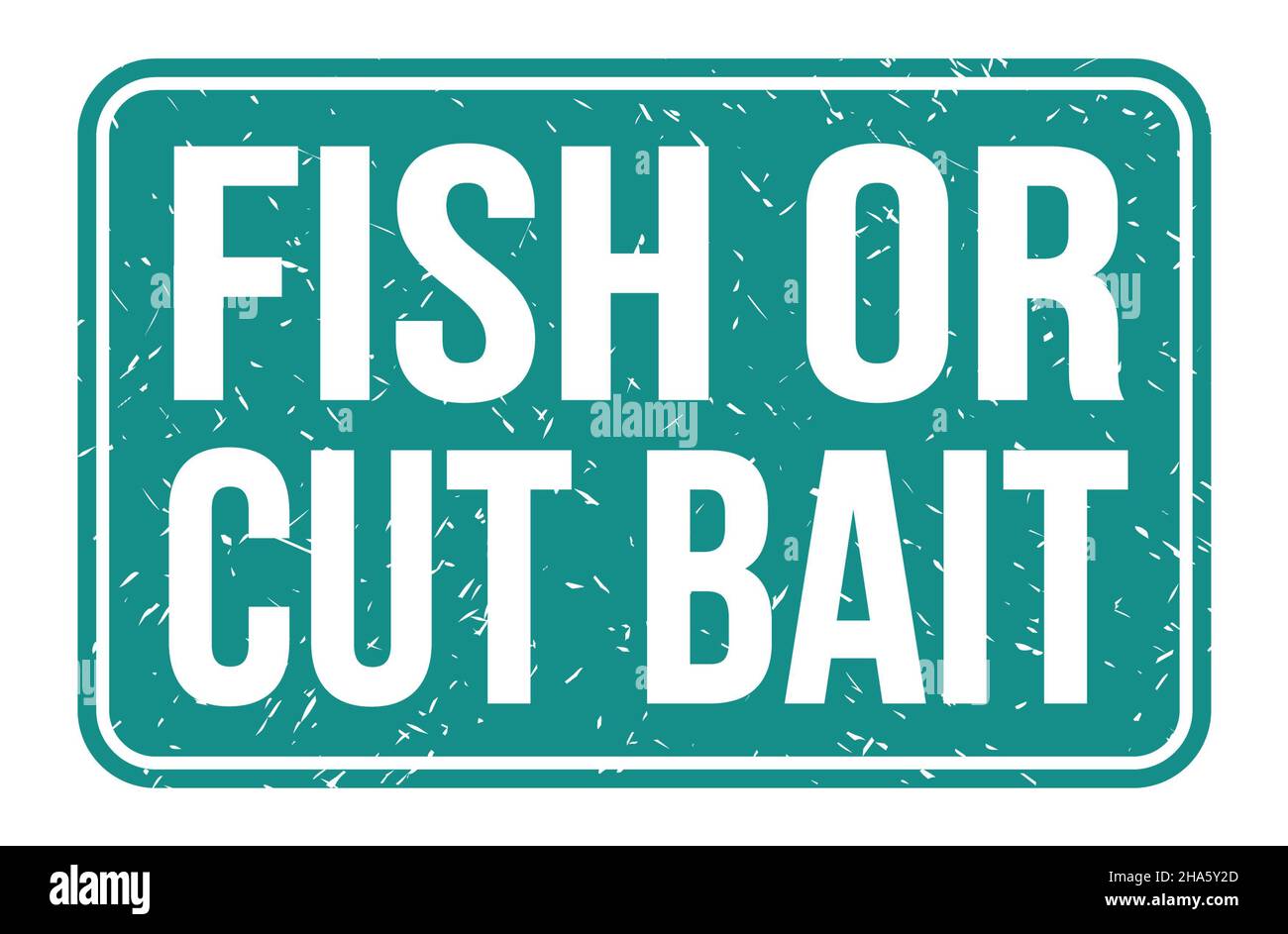 FISH OR CUT BAIT, words written on blue rectangle stamp sign Stock