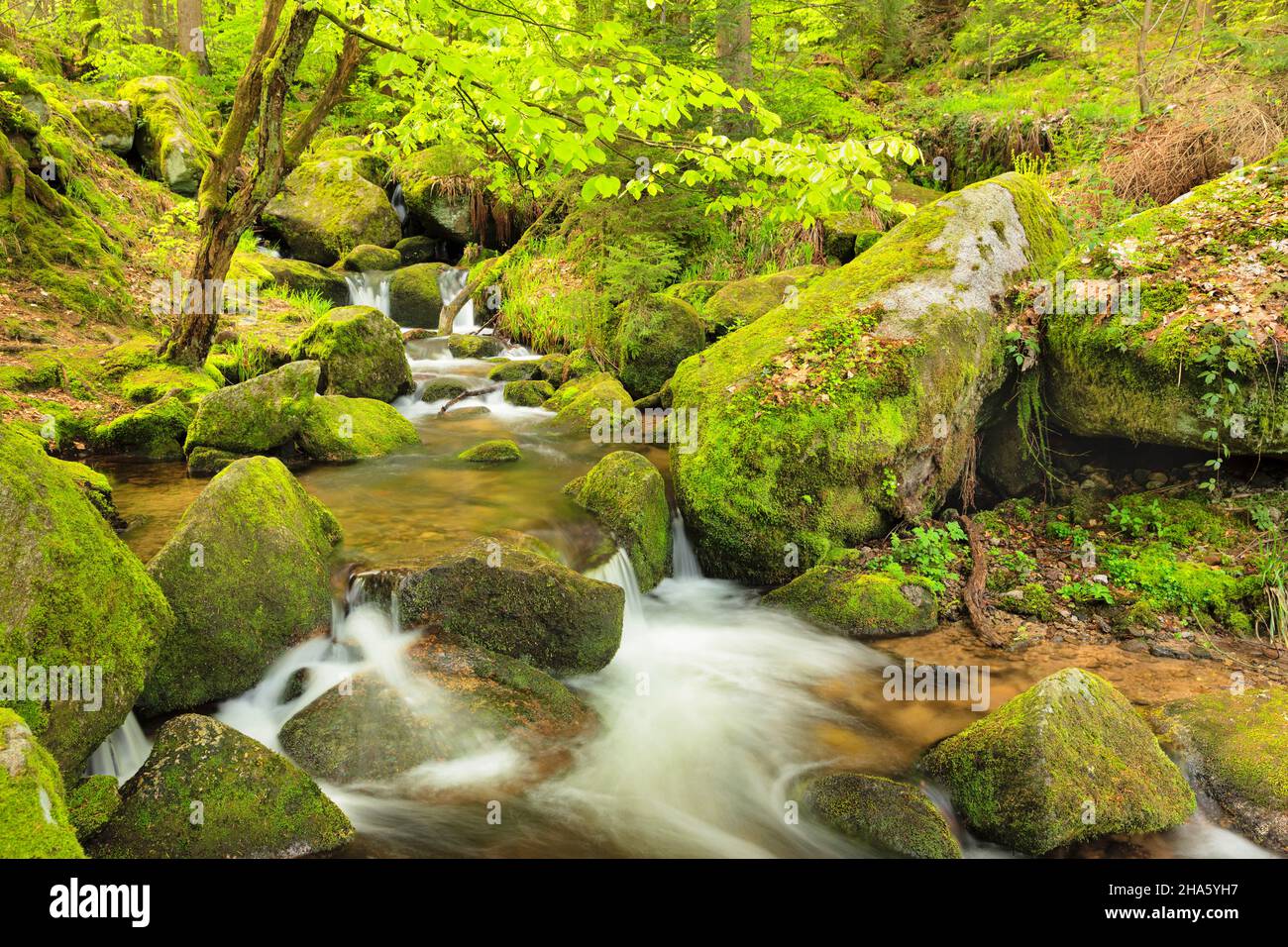 gaisholl waterfalls,sasbachwalden,black forest,baden-württemberg,germany Stock Photo