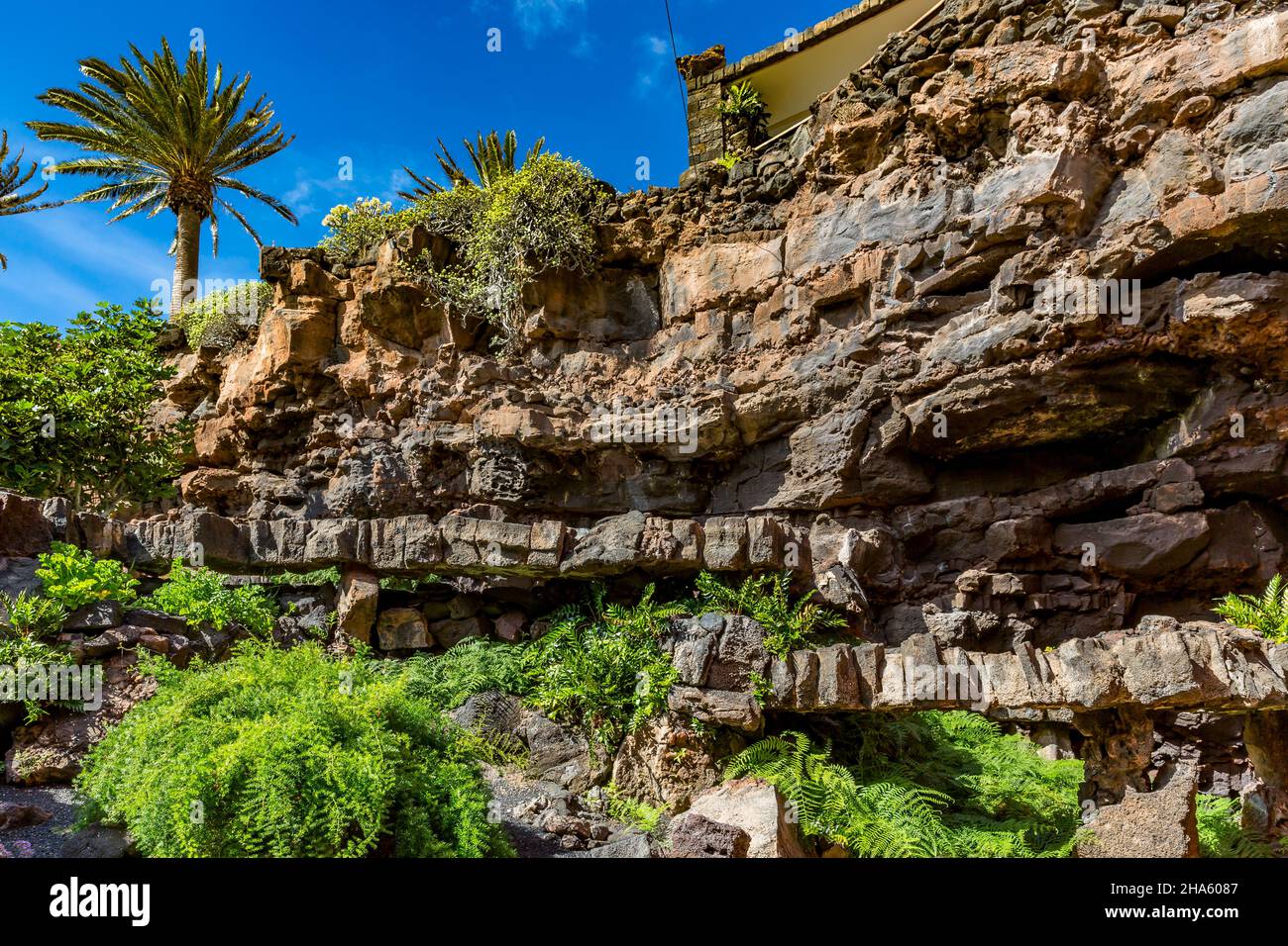 volcanic wall,grotto in the lava field of monte corona,art and cultural site,built and designed by césar manrique,spanish artist from lanzarote,1919-1992,jameos del agua,lanzarote,canaries,canary islands,spain,europe Stock Photo