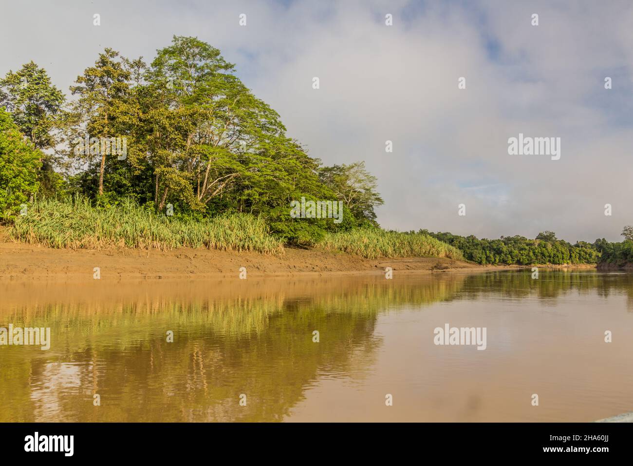 Shores of Kinabatangan river, Sabah Malaysia Stock Photo - Alamy