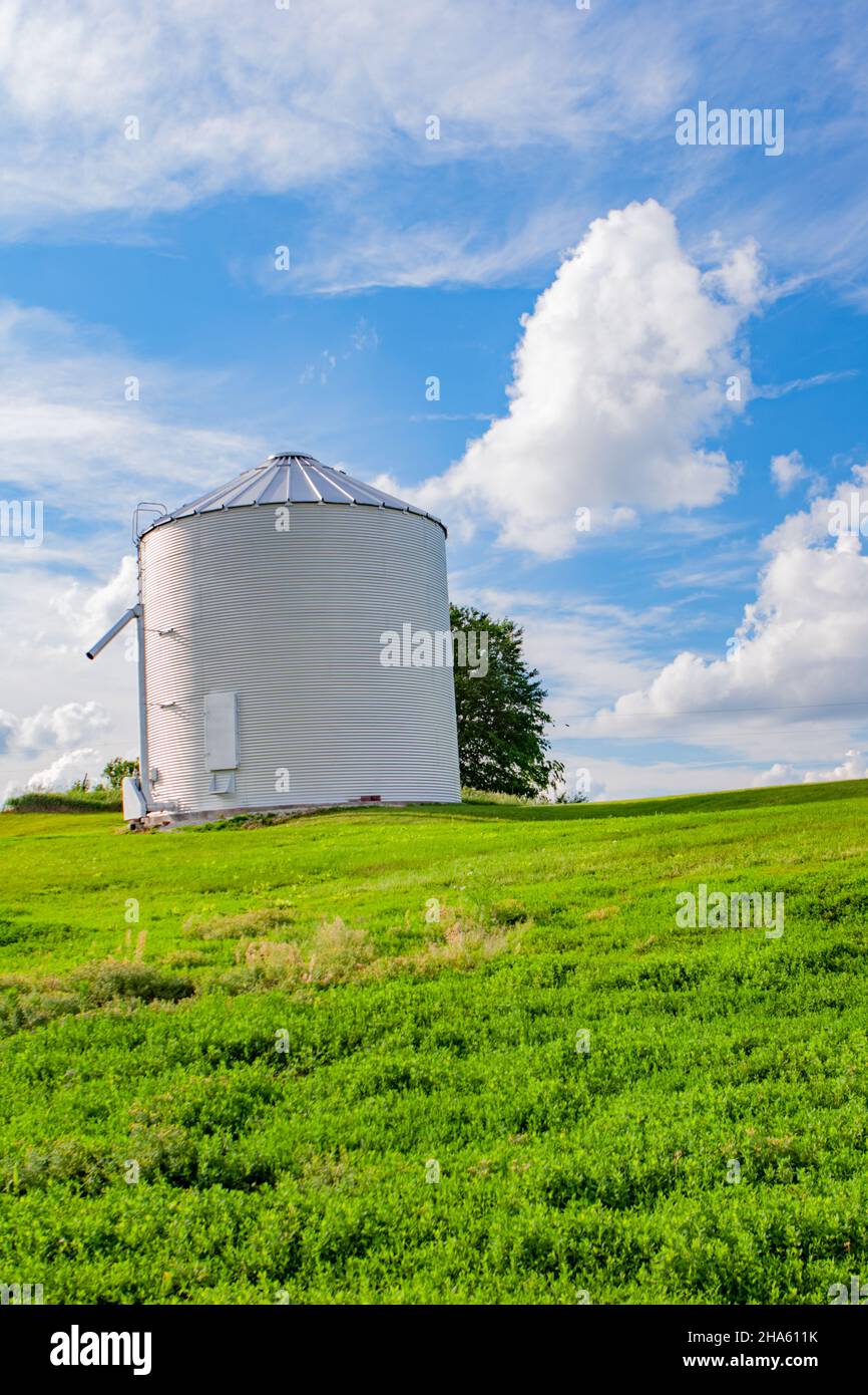 Hey single grain silo in a grassy field under a bright blue sky with fluffy clouds Stock Photo