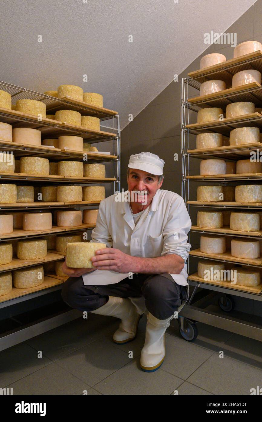 italy,south tyrol,trentino-alto adige,alto adige,pustertal,dolomites,vierschach,veiderhof,farm cheese dairy,gray cheese and sour cream butter,paul peter weitlaner Stock Photo