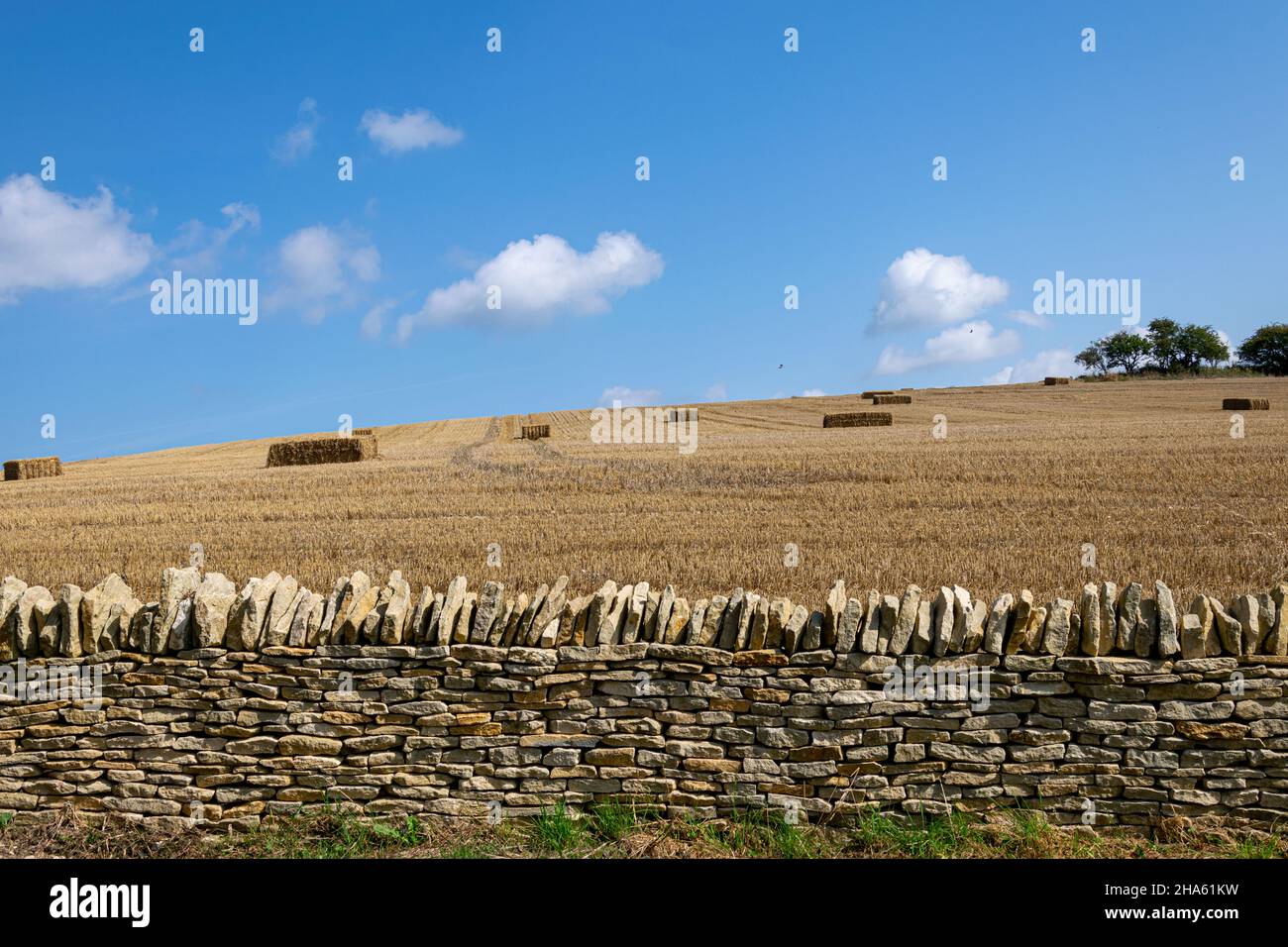 A field after harvest with rectangular bales surrounded by a cotswold stone wall Stock Photo