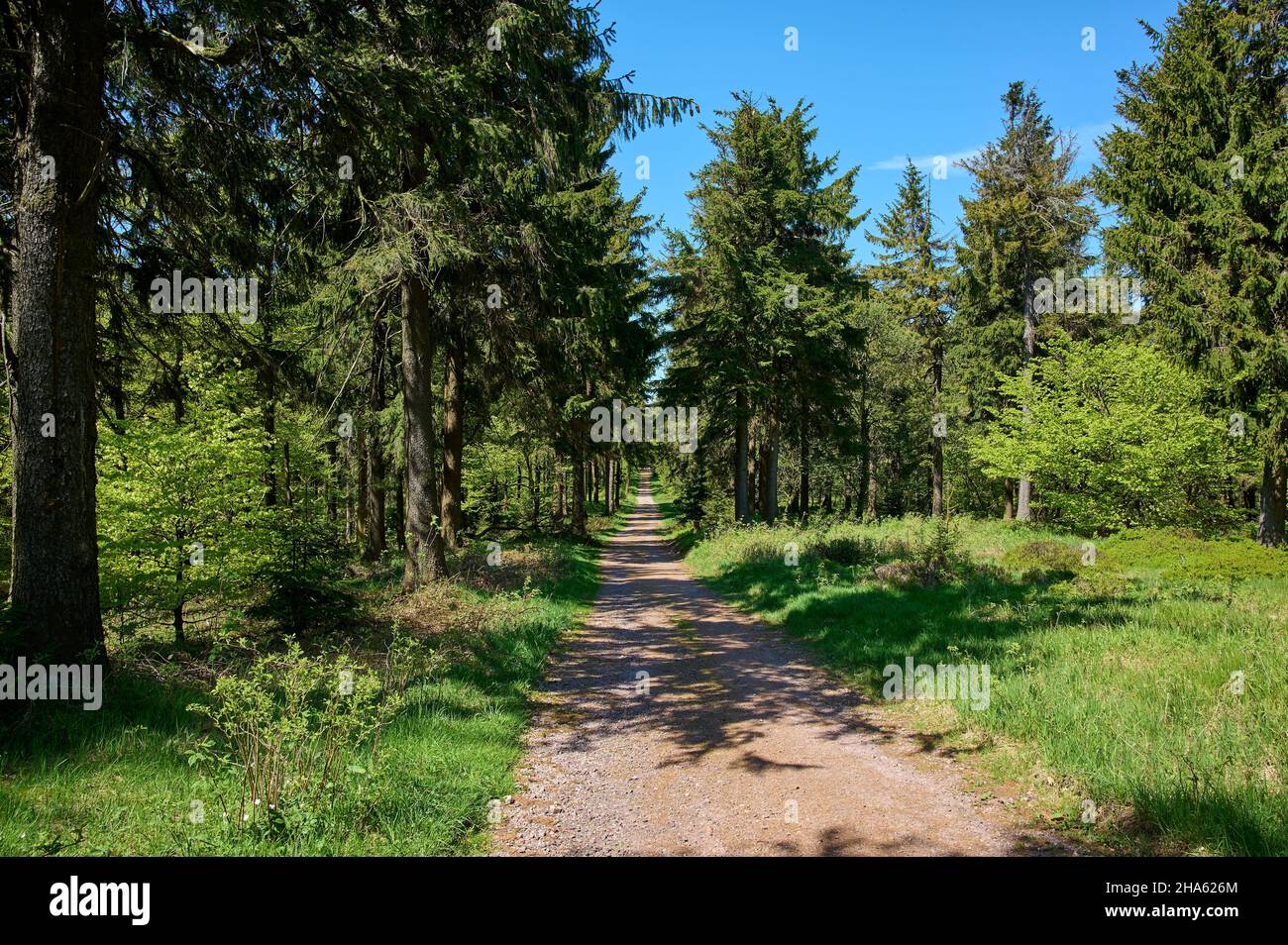 Rennsteig Hiking Trail High Resolution Stock Photography and Images - Alamy