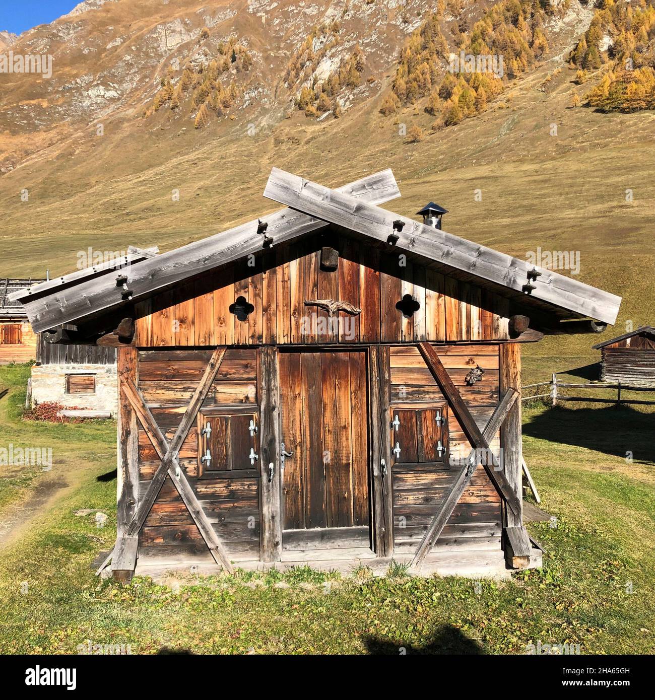 autumn landscape,single hut of the fanealm in south tyrol,fane almdorf,malga fane,larches,valsertal,dolomites,brixen,vals,south tyrol,italy Stock Photo