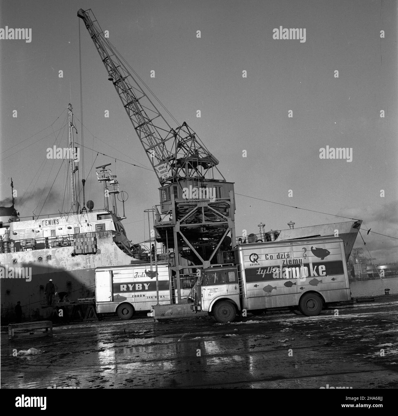 Gdynia, 1969-12. M/S Feniks, frachtowiec przedsiêbiorstwa DALMOR, w czasie wy³adunku ryb pochodz¹cych z Morza Barentsa. kw  PAP/Janusz Uklejewski  Dok³adny dzieñ wydarzenia nieustalony.      Gdynia, Dec. 1969. M/S Feniks, the freighter owned by the DALMOR enterprise, during unloading of fish from the Barents Sea.  kw  PAP/Janusz Uklejewski Stock Photo