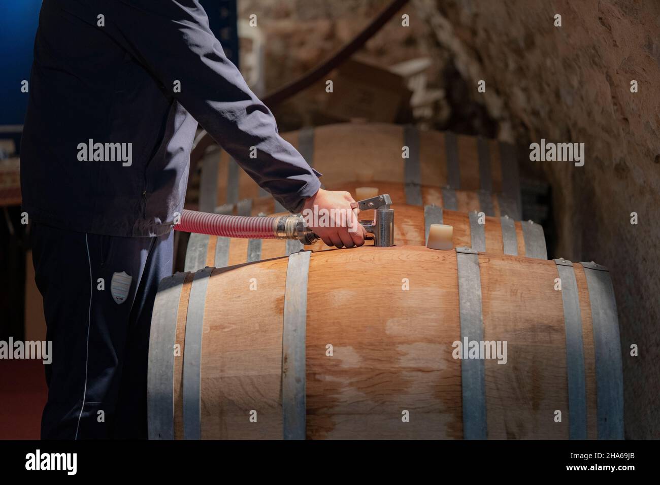 Wine Maker Topping Up French Wine in Wooden Barrel after Fermentation Stock Photo