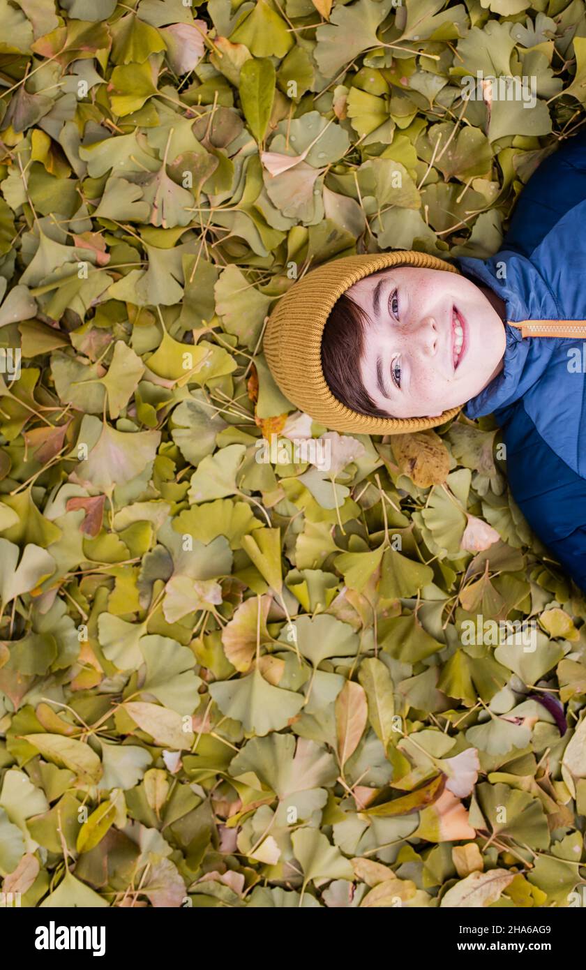 Overhead of happy boy laying on a pile of yellow leaves on fall day. Stock Photo