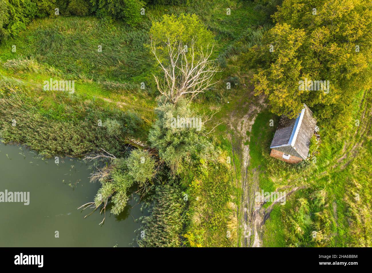 isolation of the house. lonely house in the middle of the field aerial Stock Photo