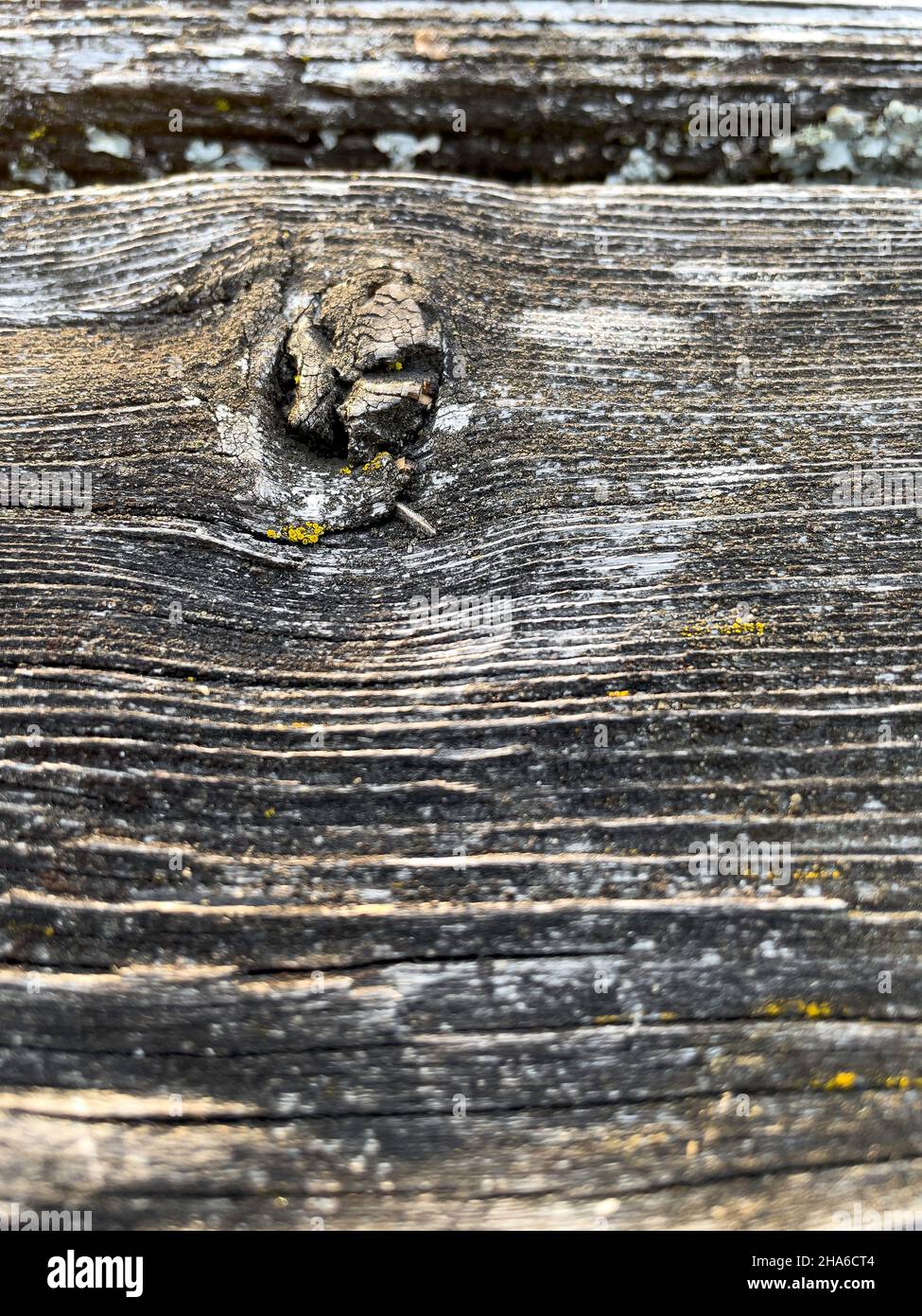 Close-up of wood. Stock Photo