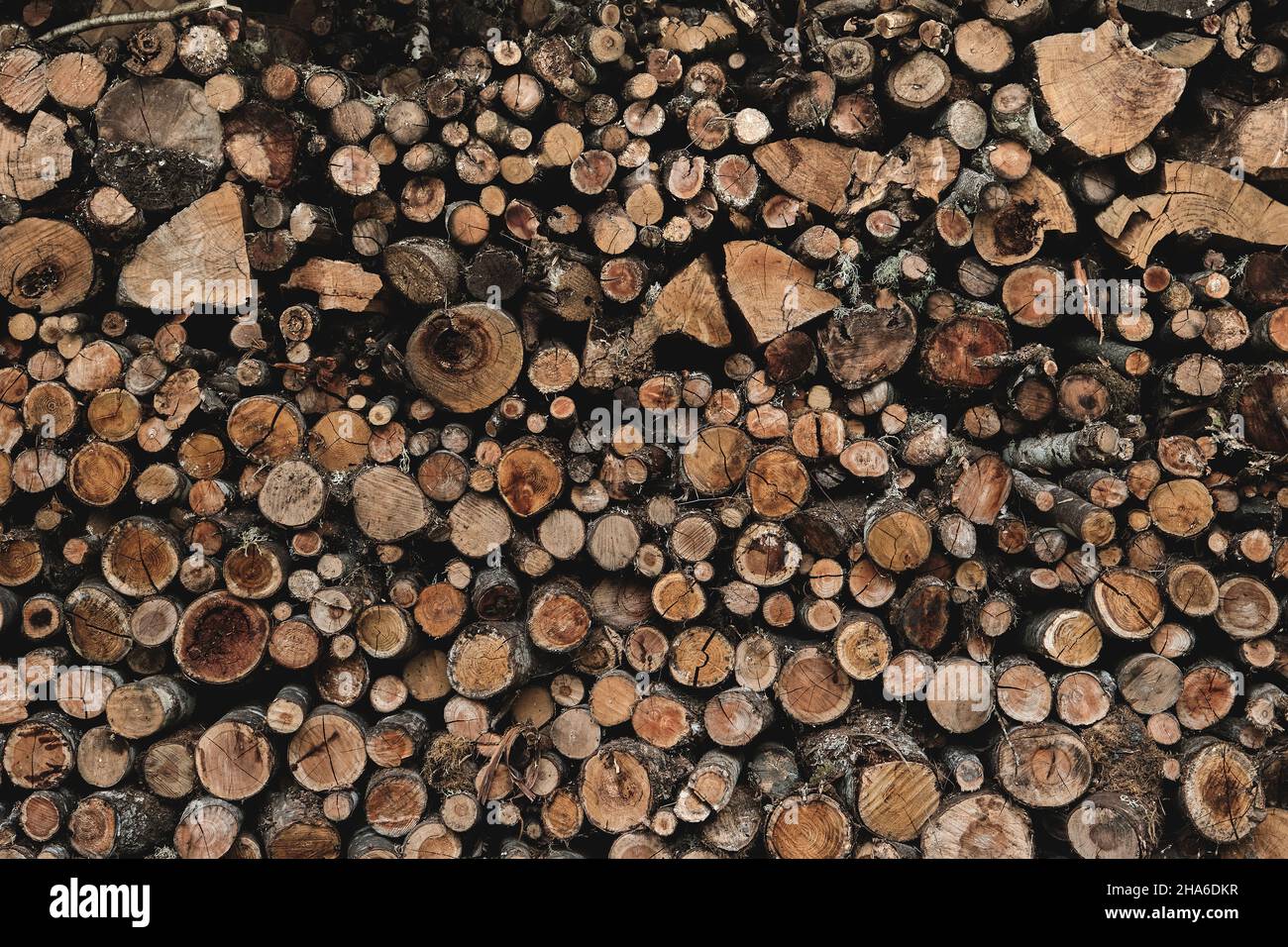Deforestation hi res hi-res stock photography and images - Alamy