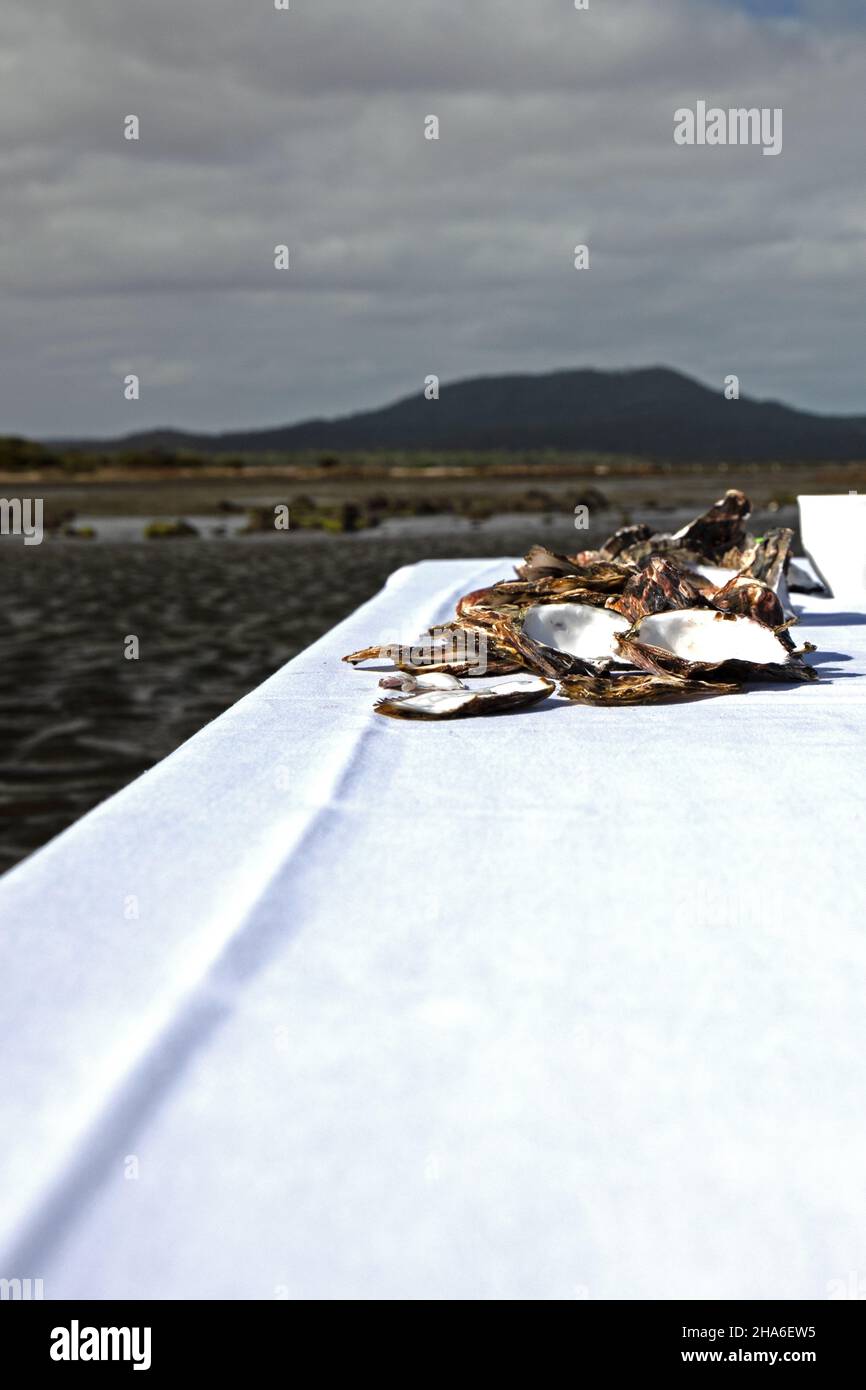 Tasmania beach oyster hires stock photography and images Alamy