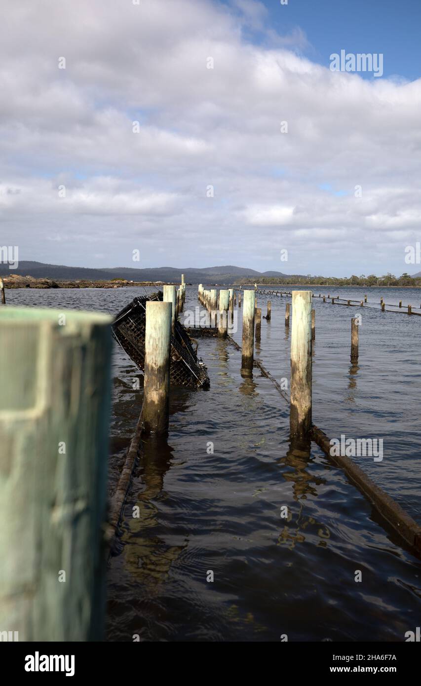 Tasmania beach oyster hires stock photography and images Alamy