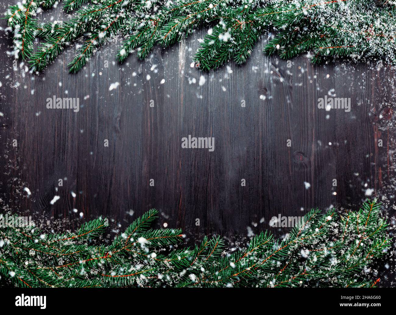 Frame of fir branches on a dark background, flat lay Stock Photo - Alamy