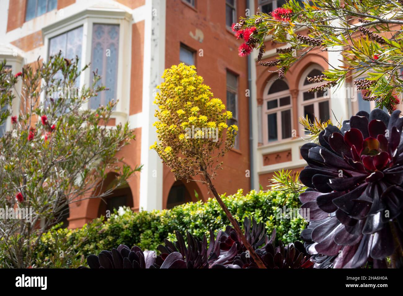 Saint gerards church and monastery hires stock photography and images Alamy