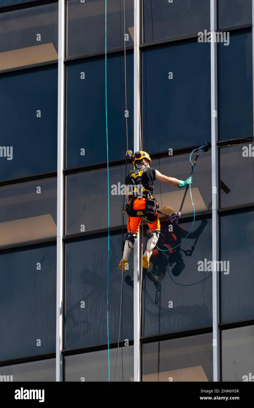 Window cleaners abseiling on side of tall office building, Wellington, North Island, New Zealand
