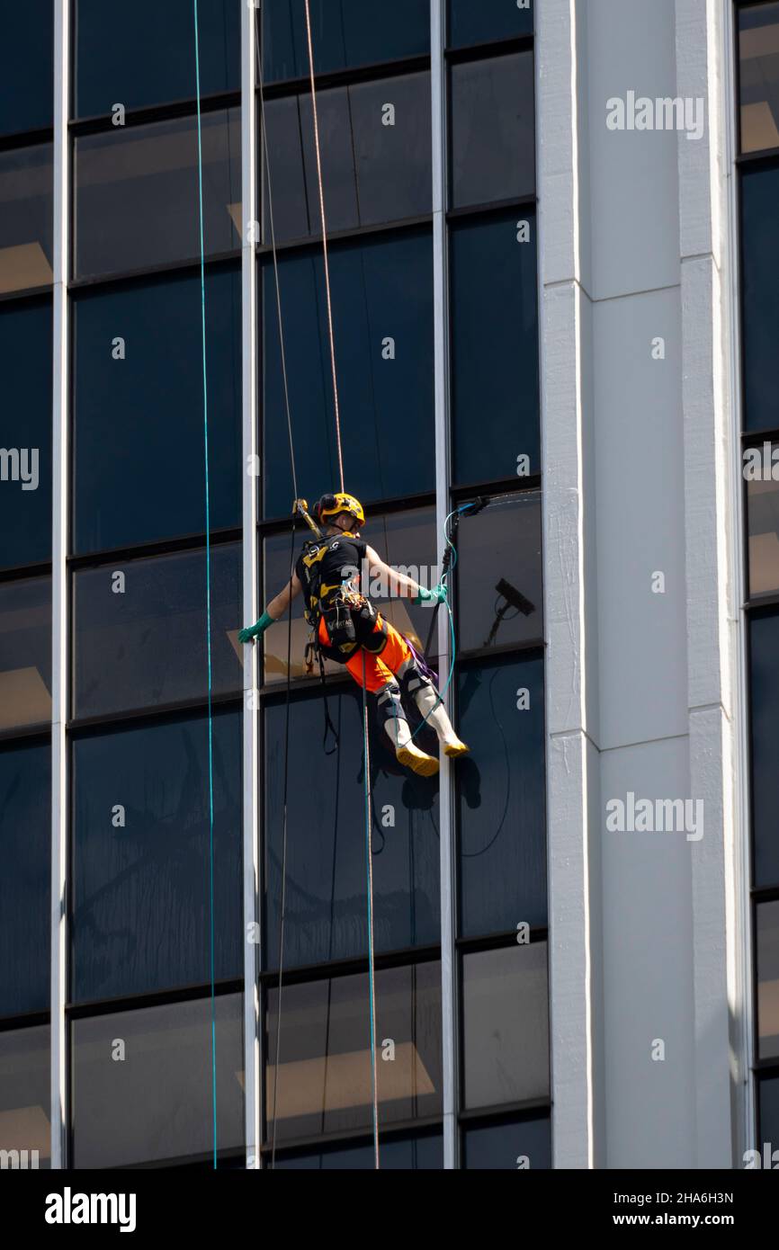 Window cleaners abseiling on side of tall office building, Wellington, North Island, New Zealand