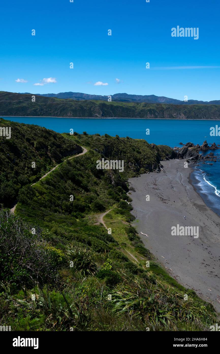 Beach at Breaker Bay, Wellington, North Island, New Zealand Stock Photo