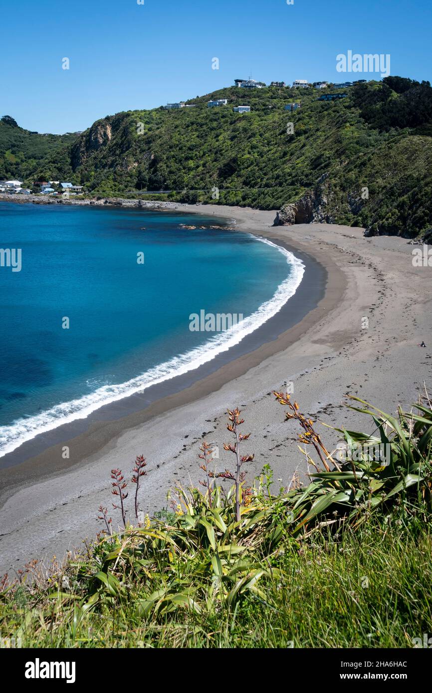 Beach at Breaker Bay, Wellington, North Island, New Zealand Stock Photo Alamy