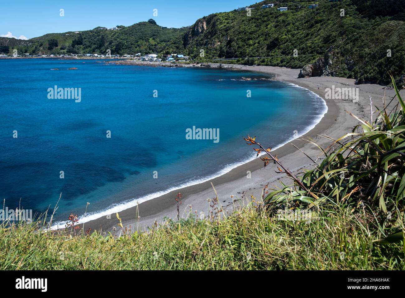 Beach at Breaker Bay, Wellington, North Island, New Zealand Stock Photo Alamy