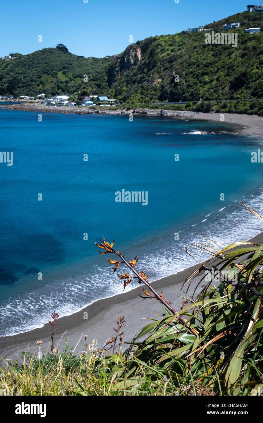 Beach at Breaker Bay, Wellington, North Island, New Zealand Stock Photo Alamy
