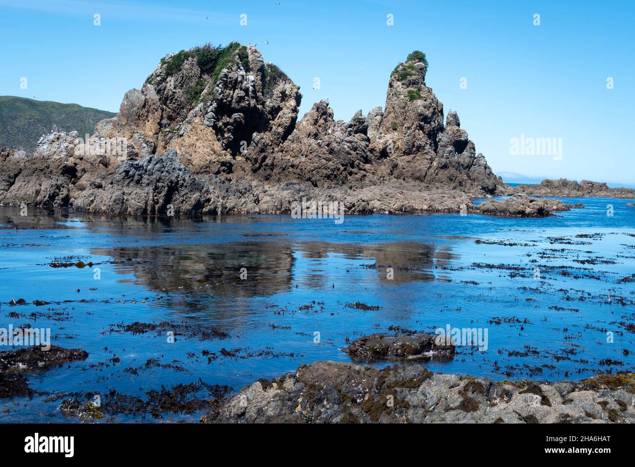 Nz Rocks Formations Rock formations on coast ar Point Dorset, Breaker Bay, Wellington ...