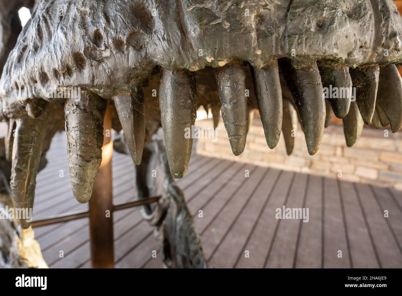 Deinosuchus crocodile - Stock Image - E446/0538 - Science Photo Library