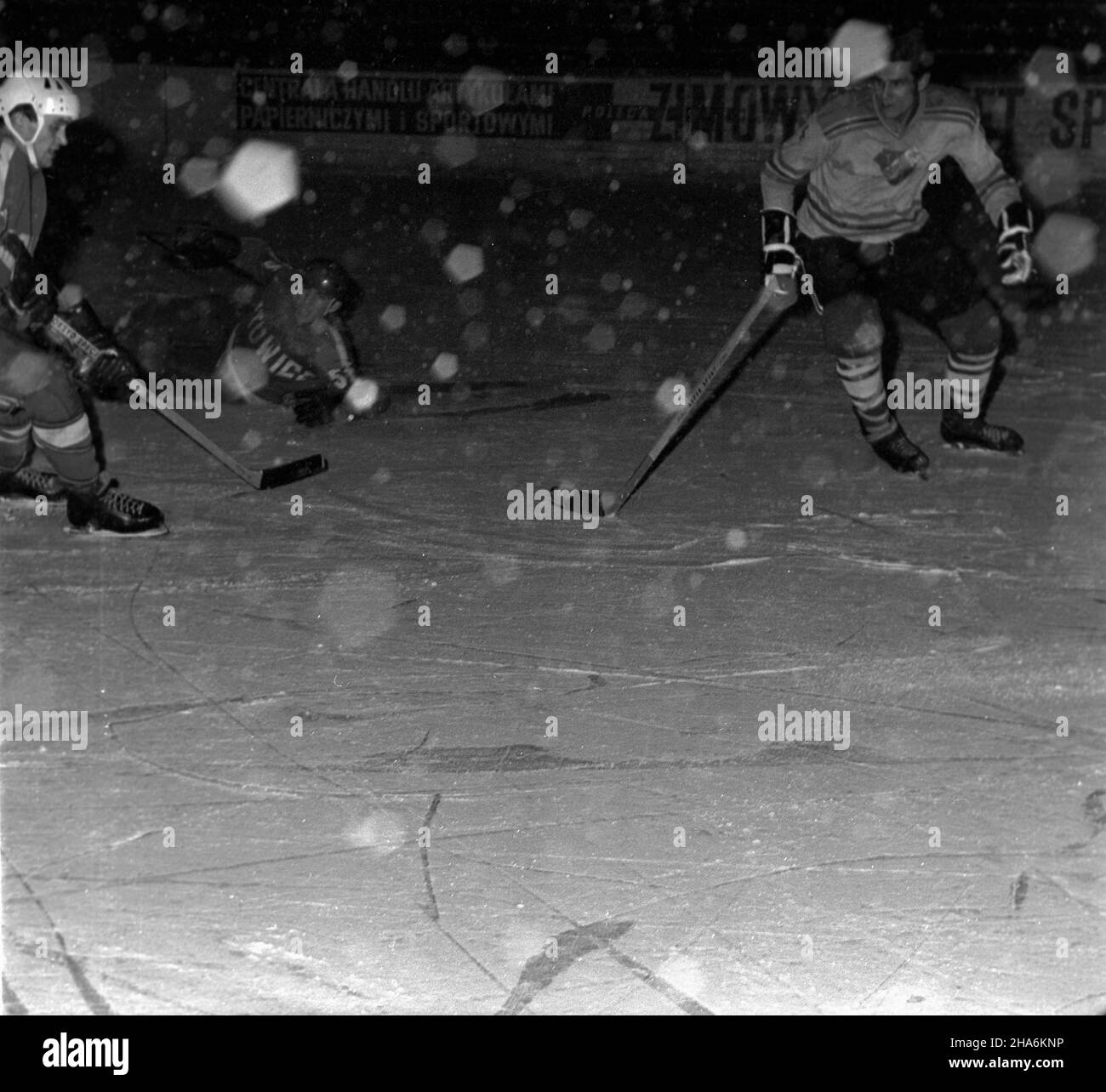 Katowice, 1969-12-01. Turniej hokejowy, odbywaj¹cy siê w katowickim Torkacie z okazji Dnia Górnika. Nz. fragmenty spotkania Górniczego Klubu Sportowego (GKS) Katowice (ciemniejsze bluzy) i Banik Ostrava (jaœniejsze bluzy), wygranego przez GKS 6:2. mb  PAP/Kazimierz Seko      Katowice, Dec. 1, 1969. The Mining Day Hockey Championships were held in Katowice's Torkat.  Pictured: a match between Gorniczy Klub Sportowy (GKS) Katowice (dark tops) and Banik Ostrava, won by GKS 6:2.  pw  PAP/Kazimierz Seko Stock Photo