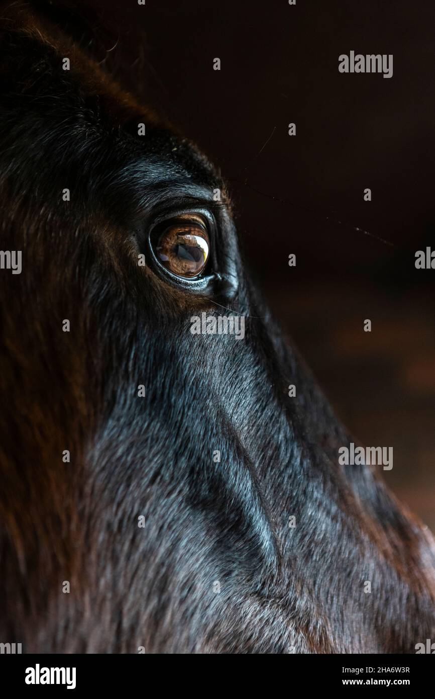 Felicity - final day Stock Photo - Alamy