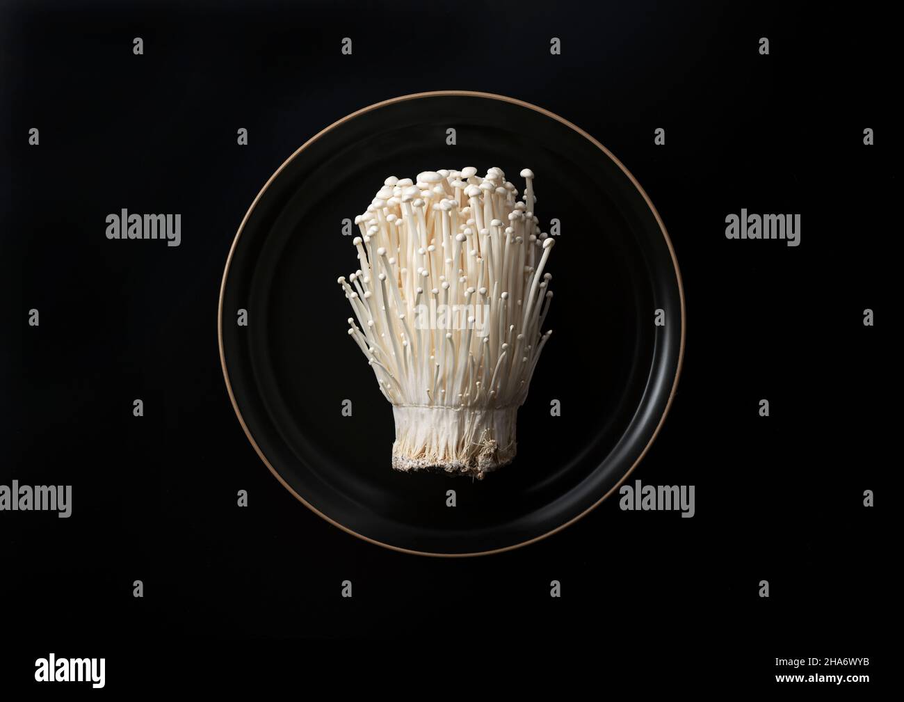 Enoki mushrooms in a plate set against a black background. View from above. Stock Photo