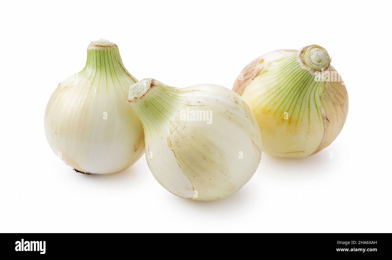 Three new onions on a white background. Stock Photo