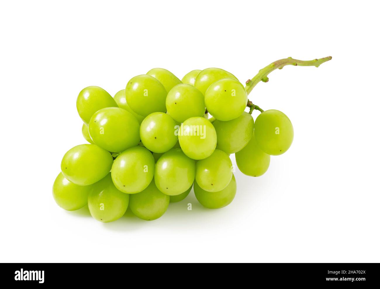 Shine Muscat grapes on a white background. White grapes. Japanese
