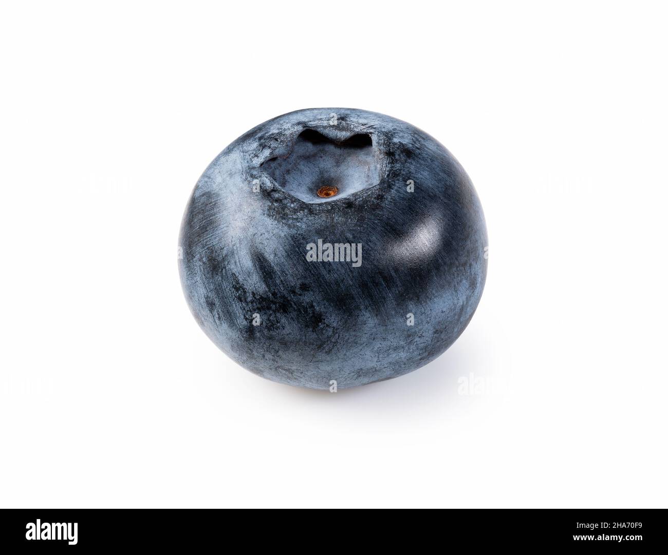 A single blueberry on a white background. Stock Photo