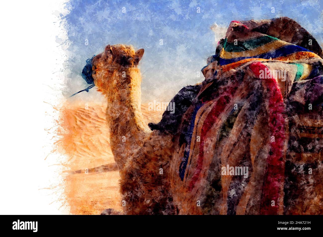 Watercolor drawing. Dromedary Camel sits on the sand in the Sahara Desert, resting. Stock Photo