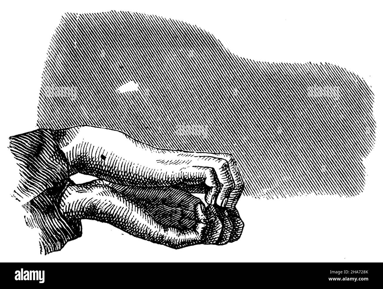 Shadow play: Hippo, , anonym (game book, 1876) Stock Photo