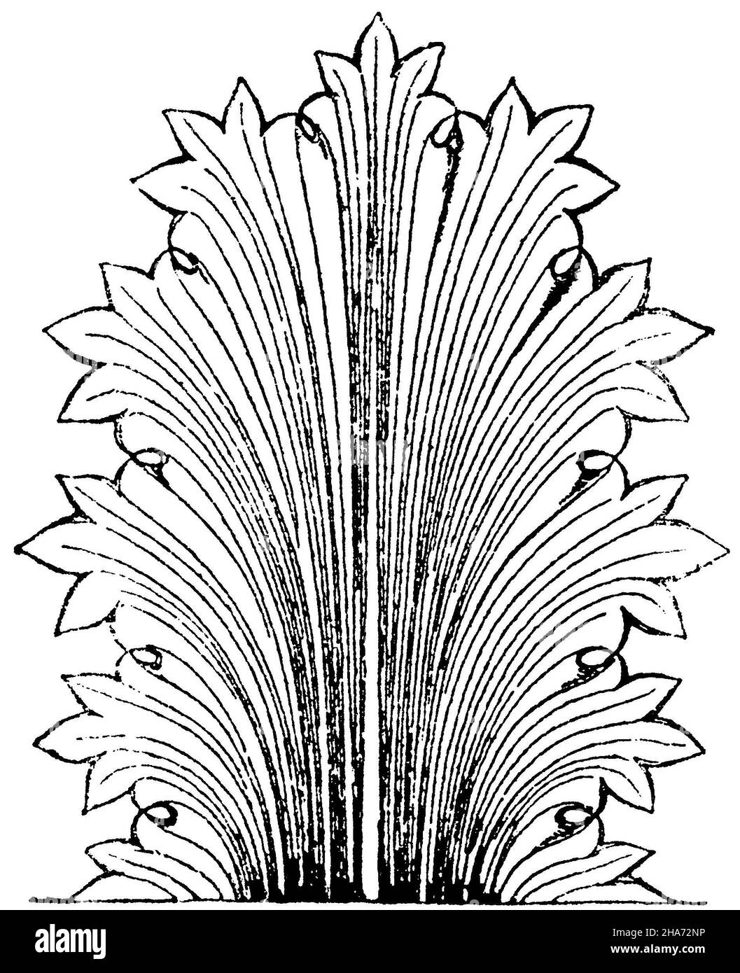 Acanthus leaf Greek acanthus leaf. (Jacobsthal), , ML (pattern book