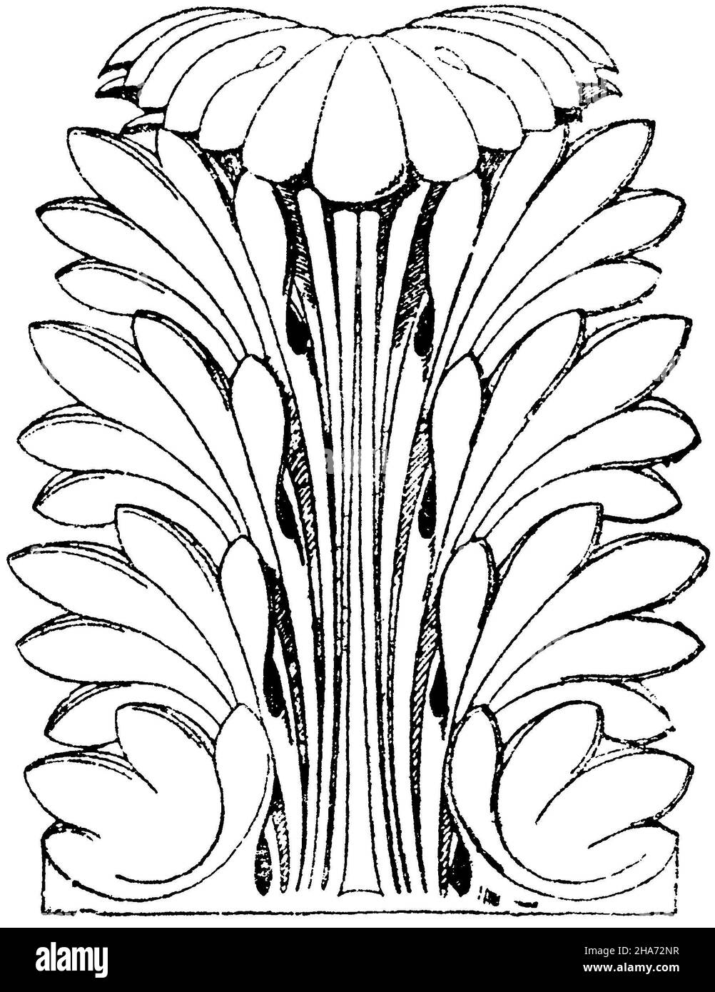 Acanthus leaf: Roman acanthus leaf. The model is borrowed from a column capital from the Pantheon in Rome. Characteristic and calculated for the effect of distance are the spoon-shaped roundings and hollows of the leaf tips, as well as the deep incisions in the leaf angles., ,  (pattern book, ) Stock Photo