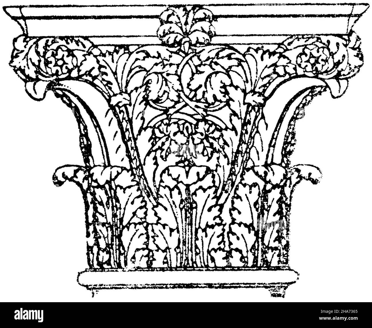 Roman Corinthian column capital from the imperial palaces in Rome
