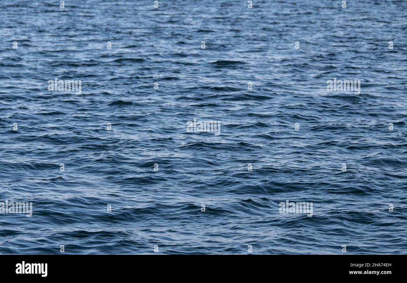 09 November 2021, Baden-Wuerttemberg, Überlingen: The water of Lake Constance shimmers bluish. Photo: Silas Stein/dpa Stock Photo