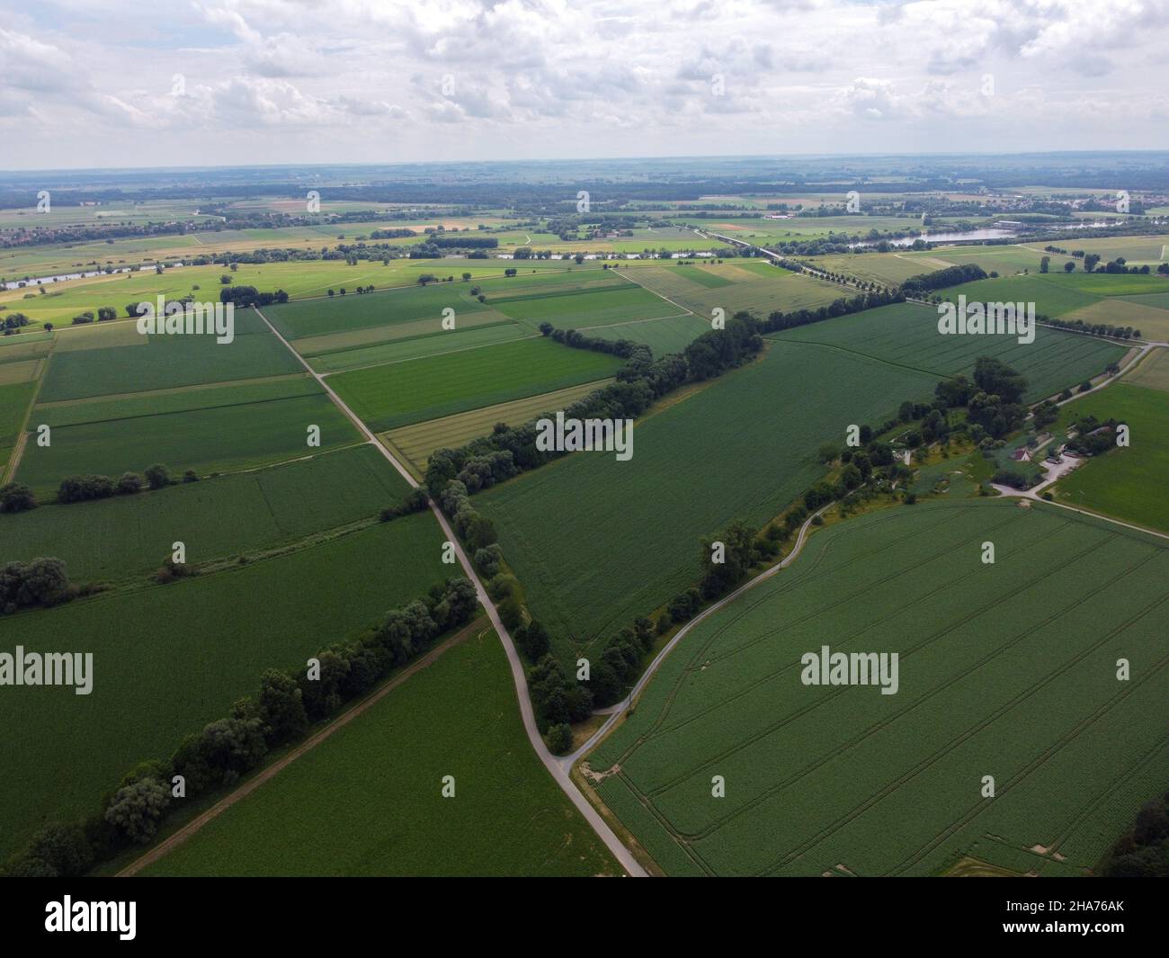 Aerial view of an agricultural field with grain planted in spring in ...