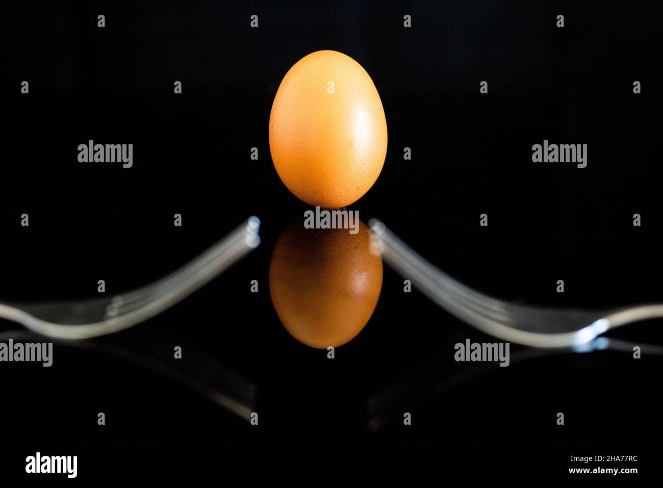 Chicken eggs with shells on a black background Stock Photo - Alamy