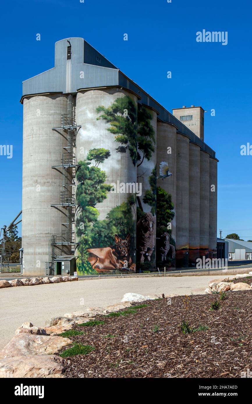 Murals known as the Karoonda Silo Art displayed on the grain silos at