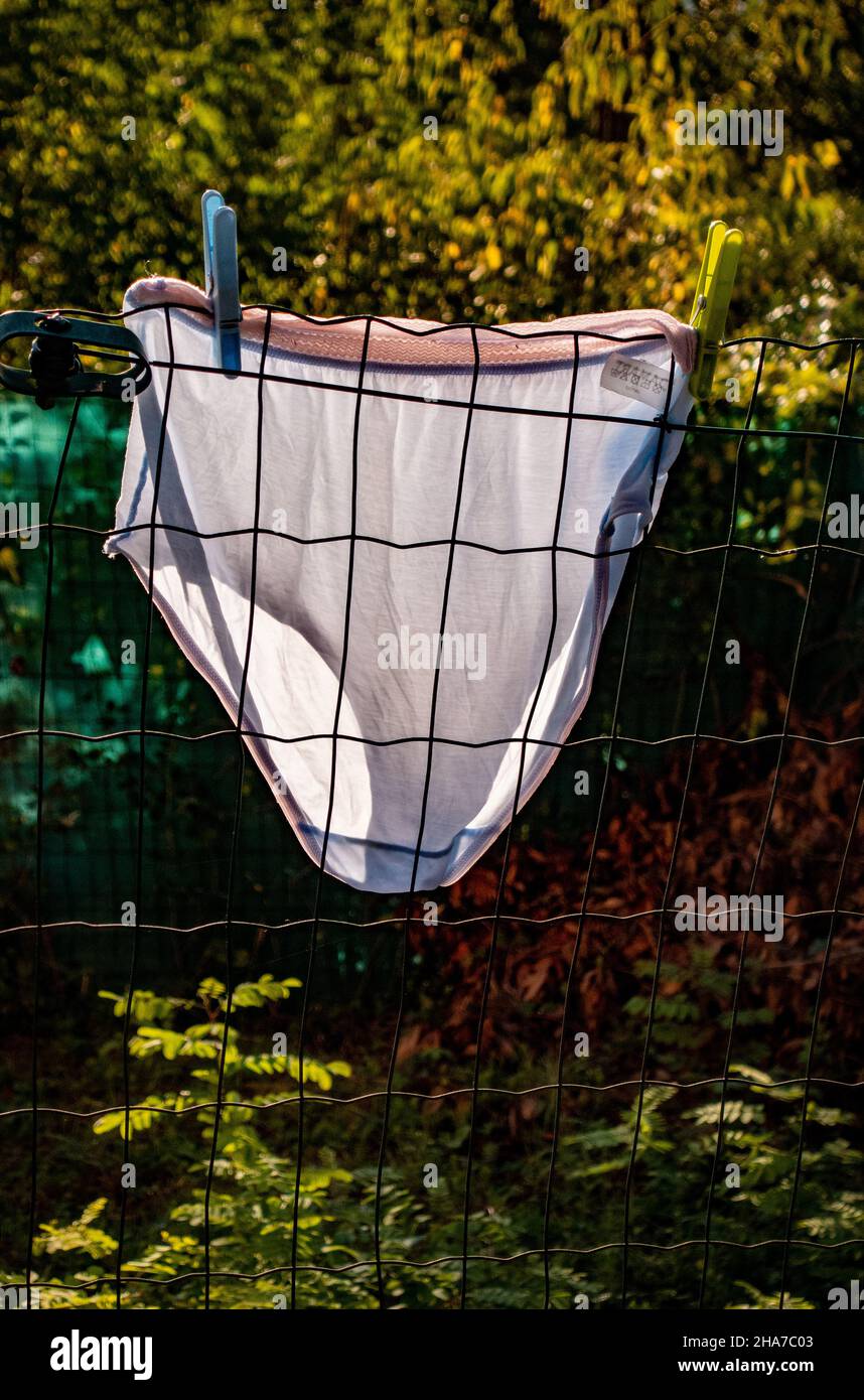 Washing Line With Small And Obese Knickers High-Res Stock Photo - Getty  Images