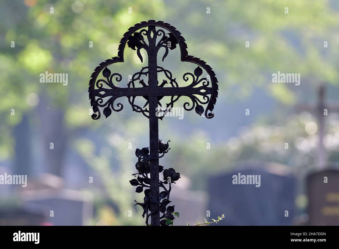 Vienna, Austria. The Vienna Central Cemetery. Grave sites at the central cemetery Stock Photo