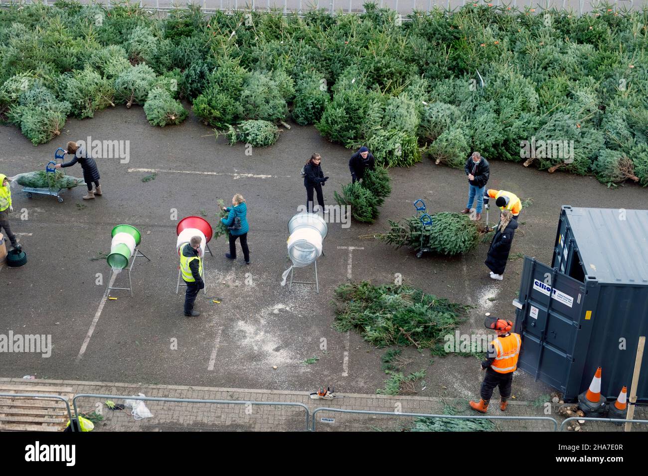 Real christmas trees ikea uk