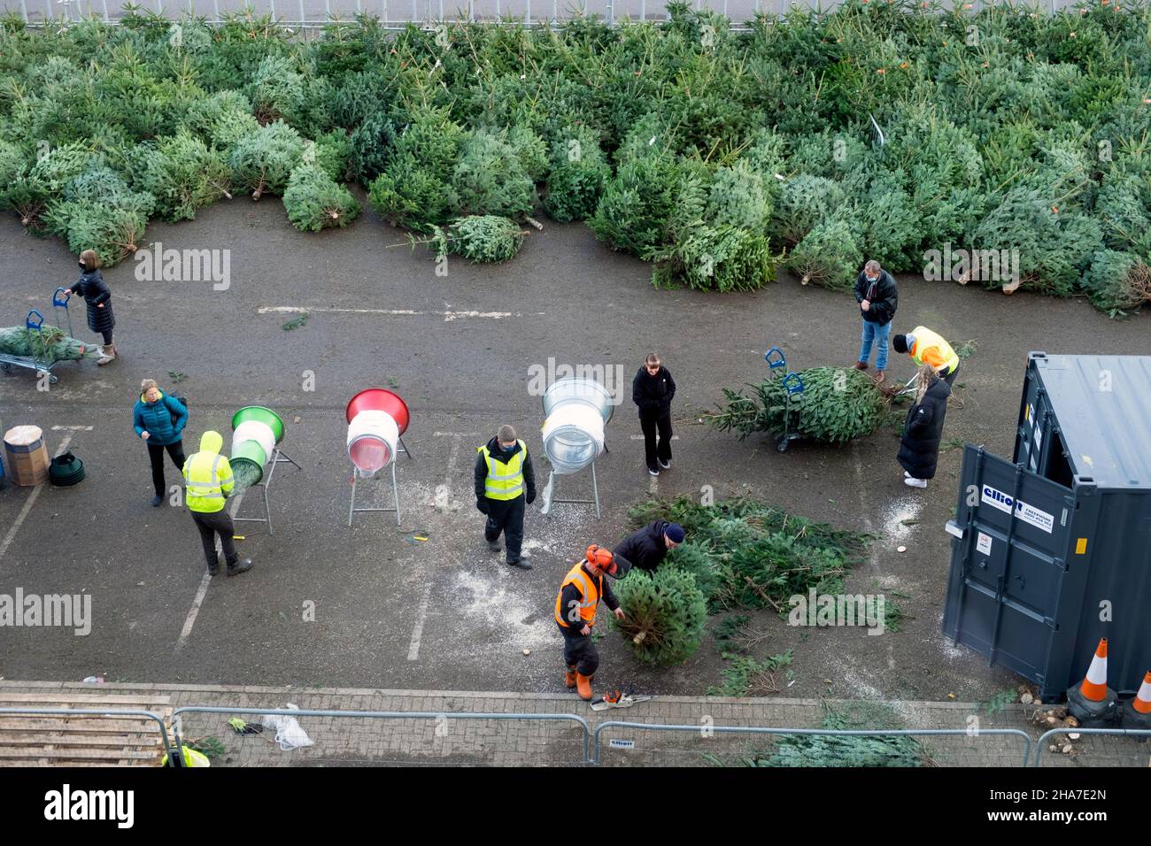 Real christmas trees ikea uk