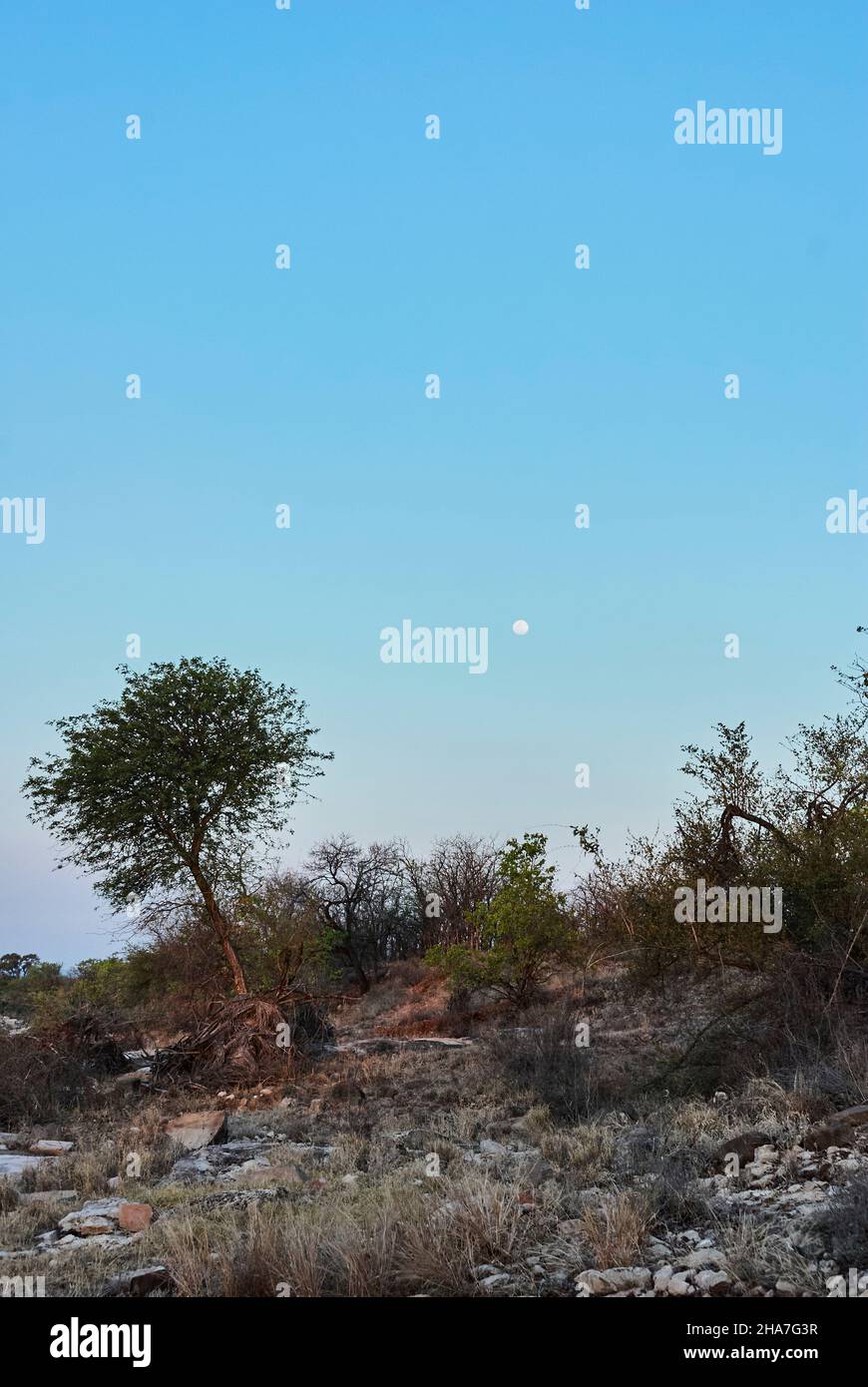 Romantic dry and arid african Landscape of sharp edged sandstone rocks ...