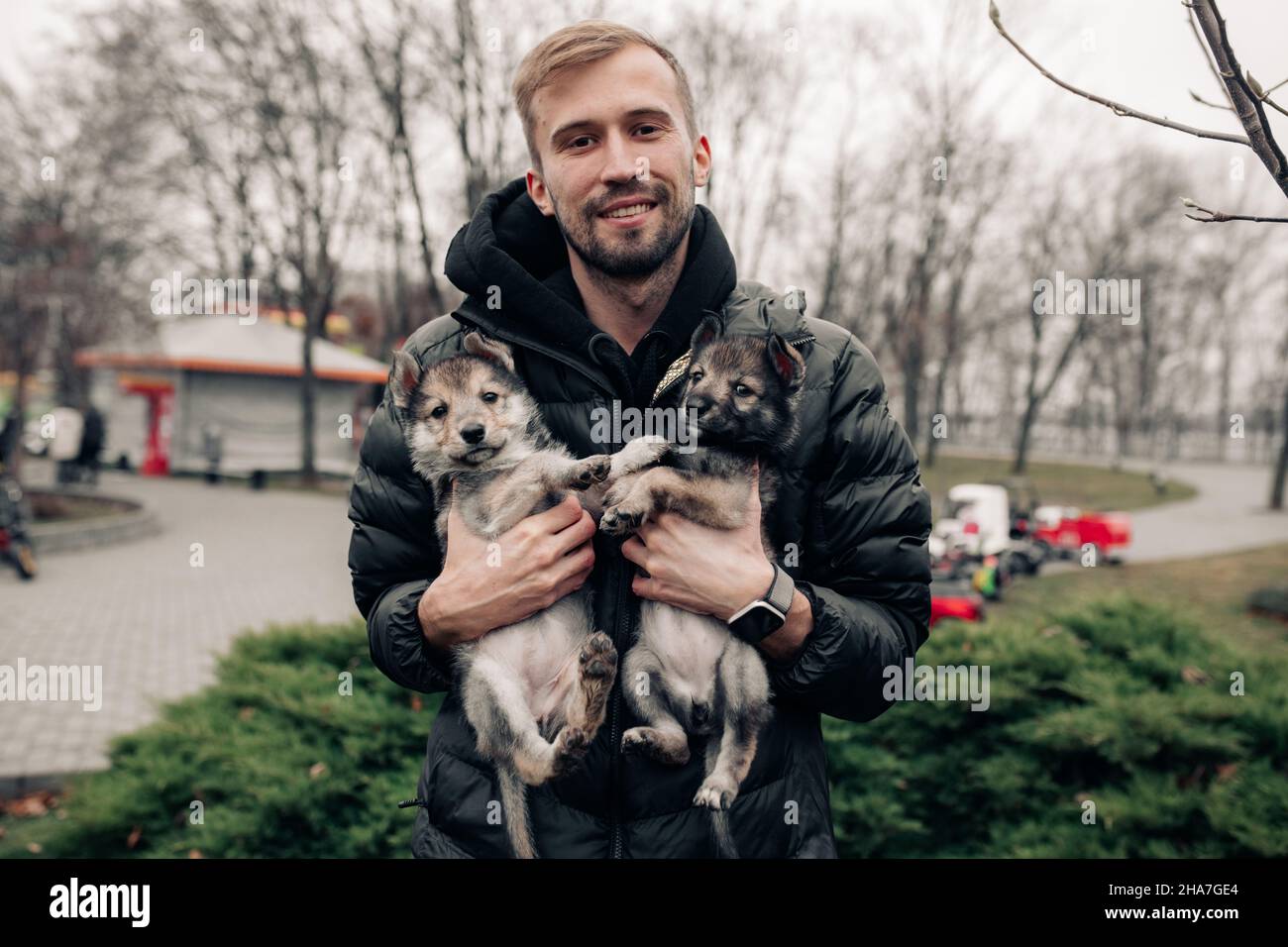 Young man holds and carries two small wolf-like puppies in his arms. Stock Photo