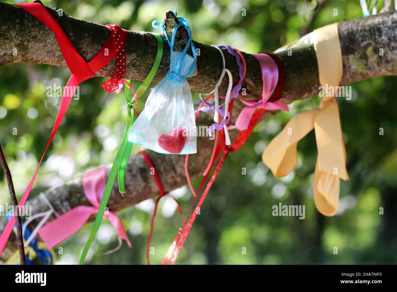 Ribons tied to an ancient beech tree at Avebury henge, as a celebration of nature and pagan beliefs Stock Photo