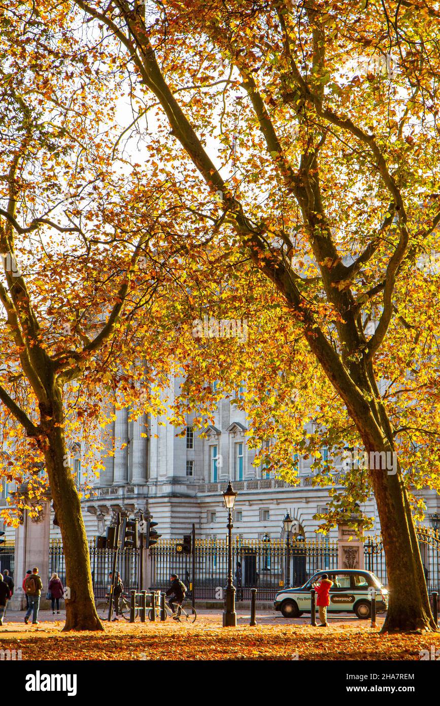 Buckingham palace green park hires stock photography and images Alamy